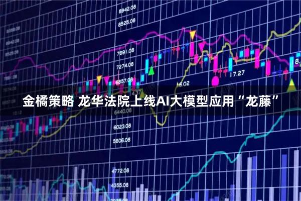 金橘策略 龙华法院上线AI大模型应用“龙藤”