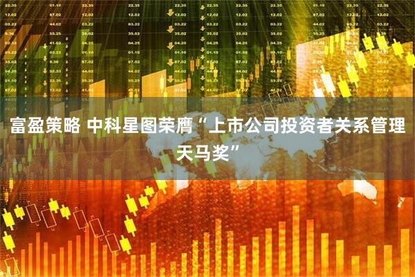 富盈策略 中科星图荣膺“上市公司投资者关系管理天马奖”