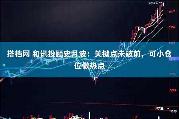 搭档网 和讯投顾史月波：关键点未破前，可小仓位做热点
