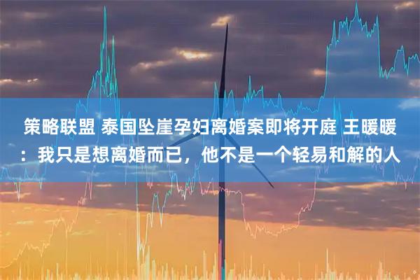 策略联盟 泰国坠崖孕妇离婚案即将开庭 王暖暖：我只是想离婚而已，他不是一个轻易和解的人