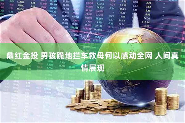 鼎红金投 男孩跪地拦车救母何以感动全网 人间真情展现