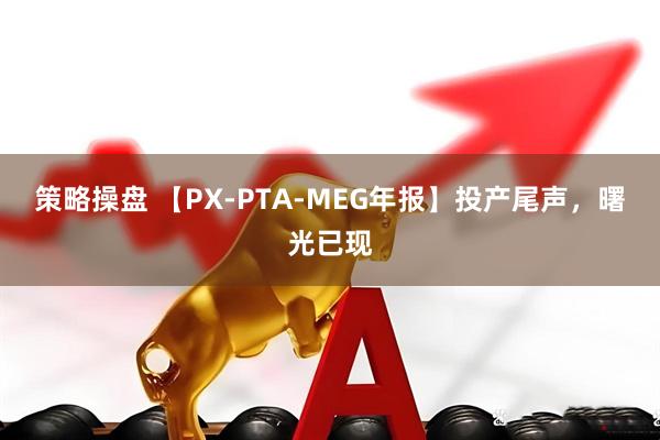策略操盘 【PX-PTA-MEG年报】投产尾声，曙光已现